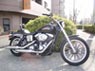  HarleyFXDL1450